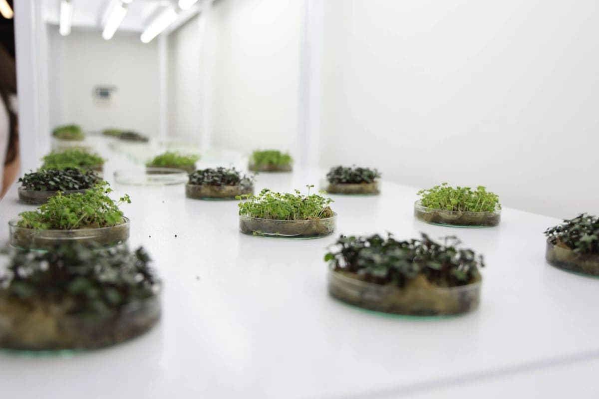 INNO LAB laboratoriyasida ish jarayoni